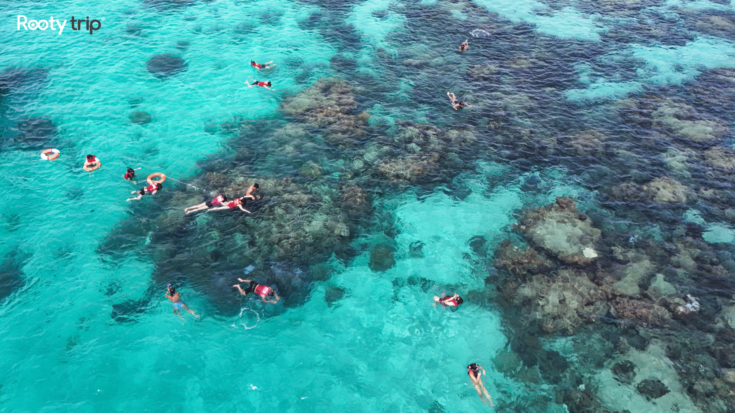 #phuquoc #tourphuquoc #tip #phuquoctip #checklisthanhlidulichphuquoc