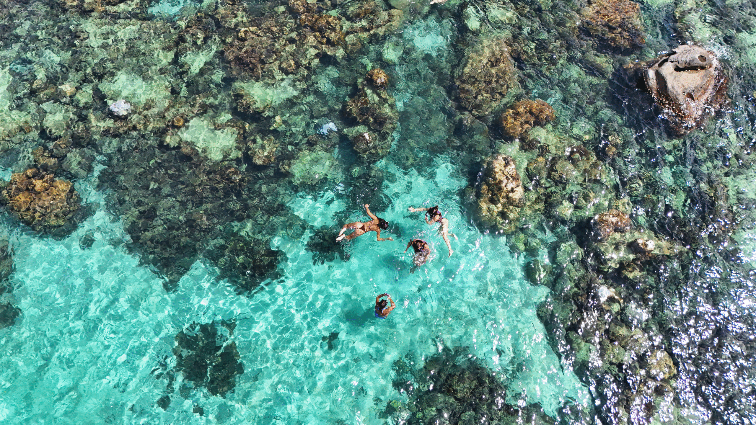 #tourdaophuquoc #lanngamsanho #snorkering